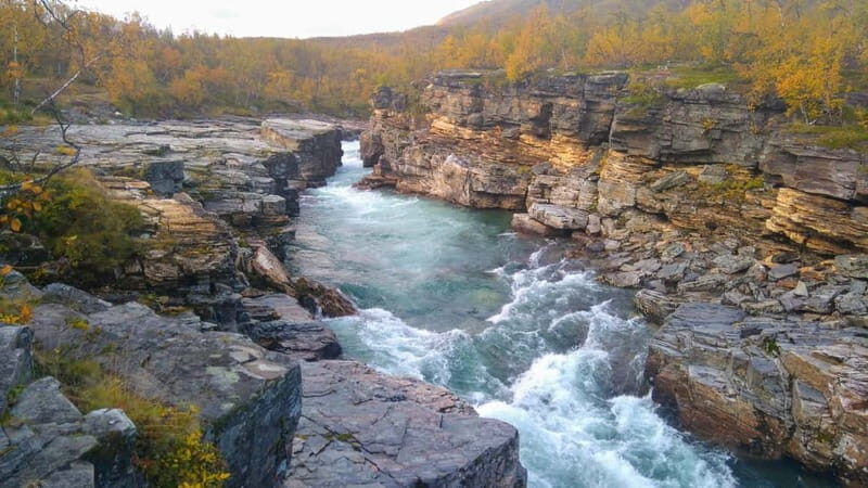 Kiruna: Abisko National Park Guided Day Tour with Lunch - Exploring the Route: What You Can Expect