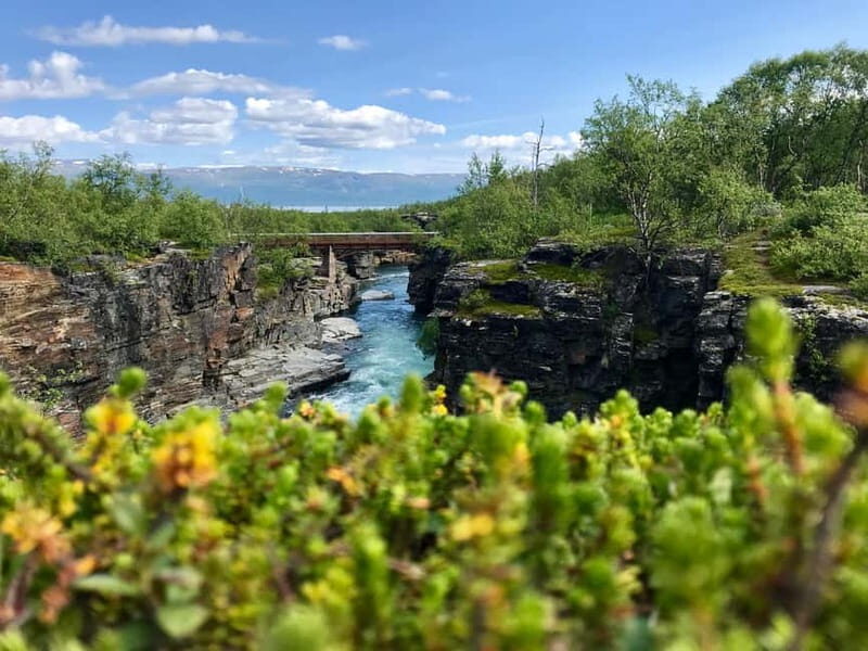 Kiruna: Abisko National Park Guided Day Tour with Lunch - Who Would Love This Tour?
