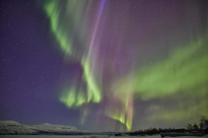 Kiruna: Abisko Northern Lights Tour with Dinner - A Close Look at the Experience