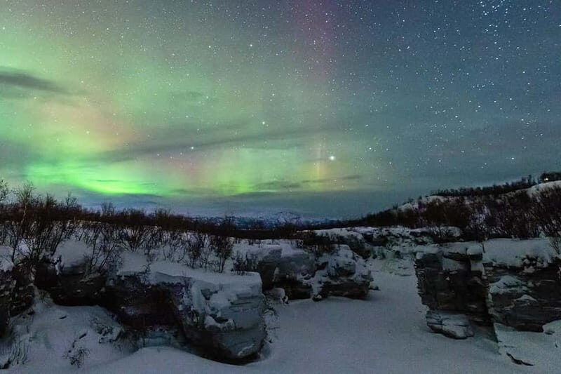 Kiruna: Abisko Northern Lights Tour with Dinner - Authenticity & Local Connection
