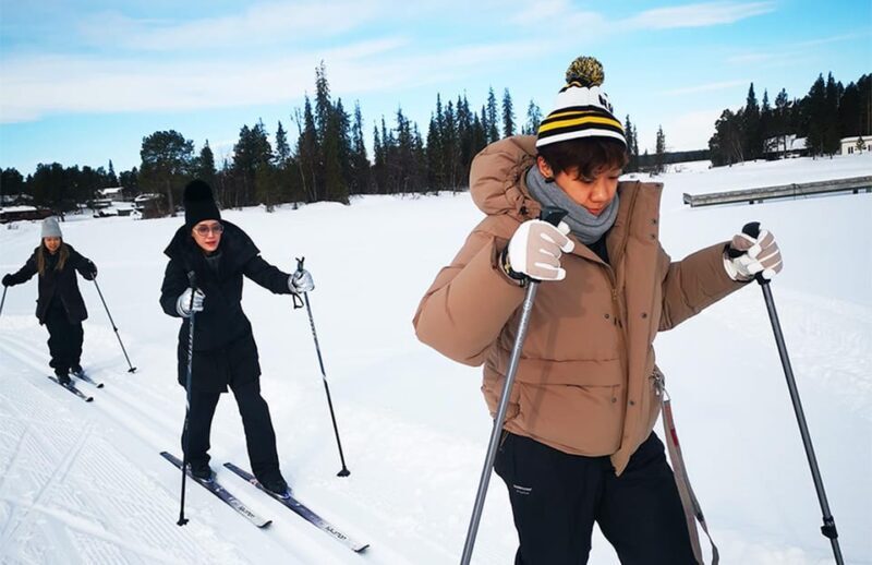 Kiruna: Cross-Country Skiing Tour with a Guide - A Pristine Arctic Experience