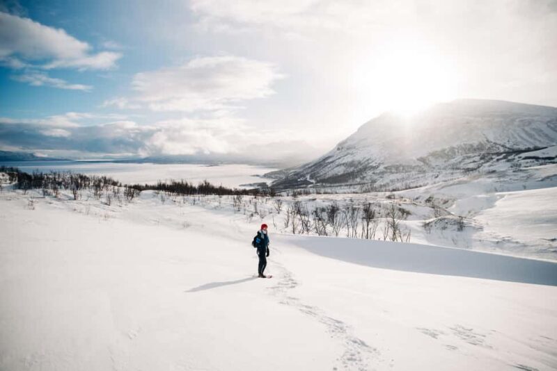 Kiruna: Daytime Snowshoe Hike - Who Should Consider This Tour?