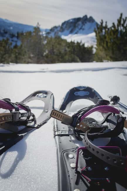 Kiruna: Daytime Snowshoe Hike - The Sum Up: Is It Worth Your Time?