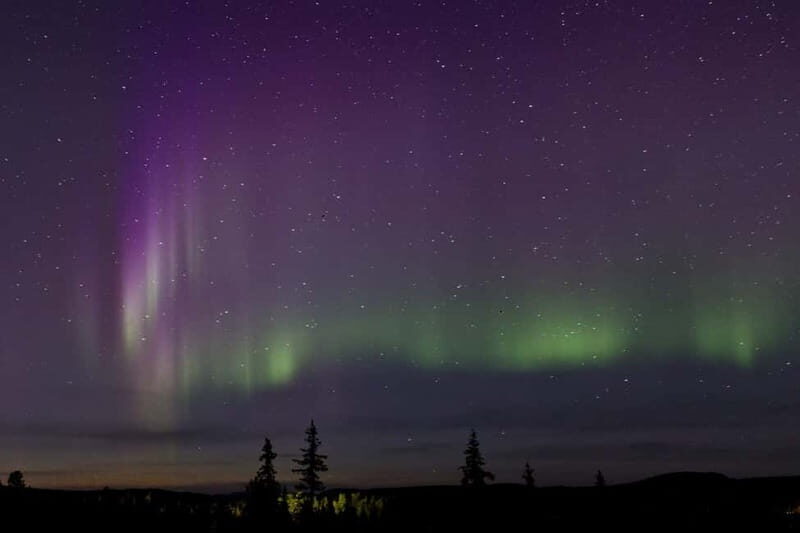 Kiruna: Northern Lights Dog Sled Tour with Swedish Fika - The Itinerary in Detail