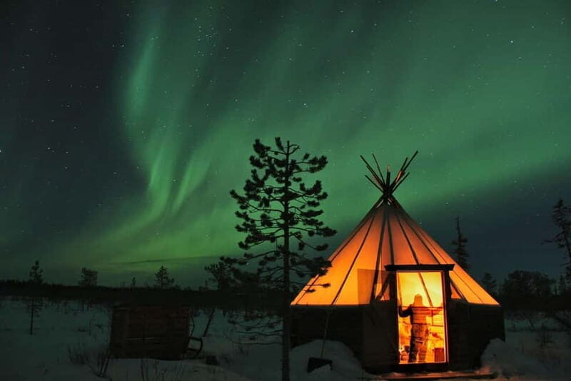 Kiruna: Northern Lights Dog Sled Tour with Swedish Fika - Potential Drawbacks & Considerations