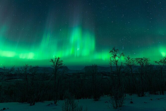 Kiruna Northern Lights Tour with Photographer - Who Is This Tour For?