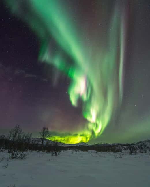 Kiruna: Northern Lights Tour with Sami BBQ Dinner - To sum it up