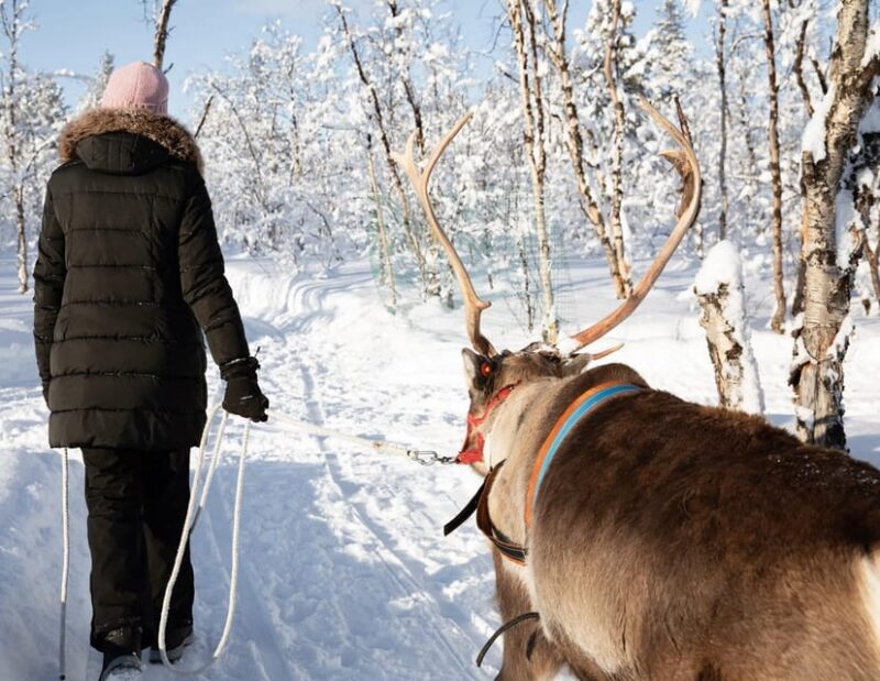 KIRUNA: Sami Reindeer Experience - FAQs