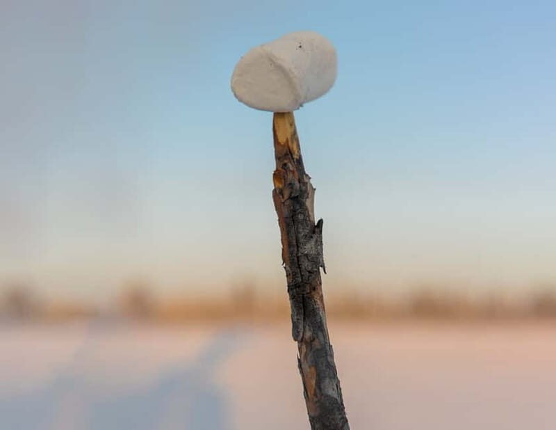 Kiruna: Snowshoe Hike & Ice fishing Tour - Key Points