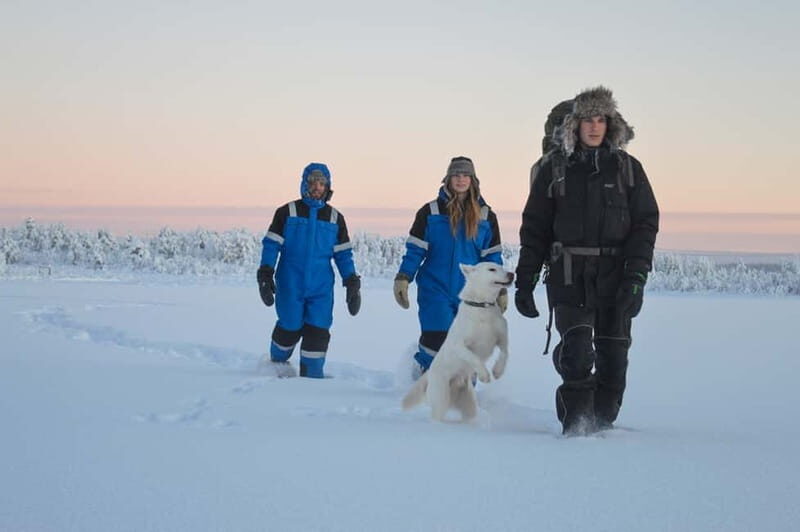 Kiruna: Snowshoe Hike & Ice fishing Tour - What Makes This Tour Stand Out?