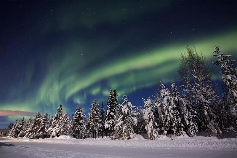 Kiruna: Snowshoe Trek with Aurora Hunt and Warm Beverage - Key Points