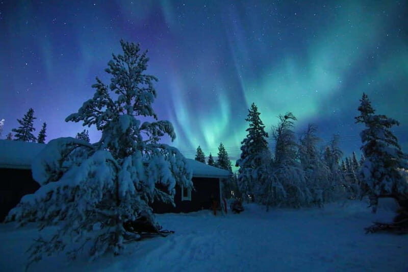 Kiruna: Snowshoe Trek with Aurora Hunt and Warm Beverage - What are the key highlights?