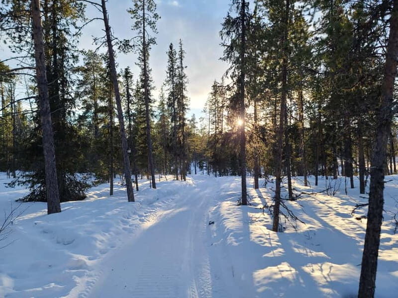 Kiruna: Snowshoe Trek with Warm Beverage and Sandwich - A Deep Dive into the Snowshoe Experience in Kiruna