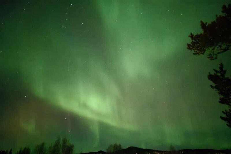 Kiruna: The Amazing Northern Lights - Hunt Tour - Who Will Love This Tour?