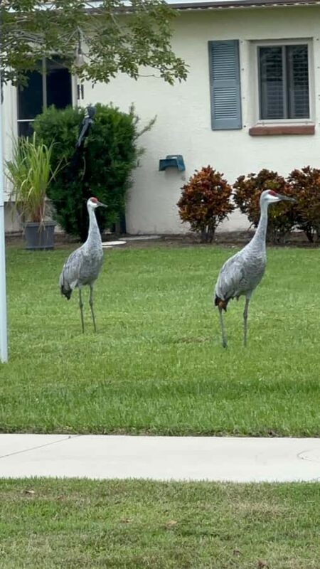 Kissimmee: 4-Hour Electric Mountain Bike Lakefront Tour - Who Will Love This Tour?