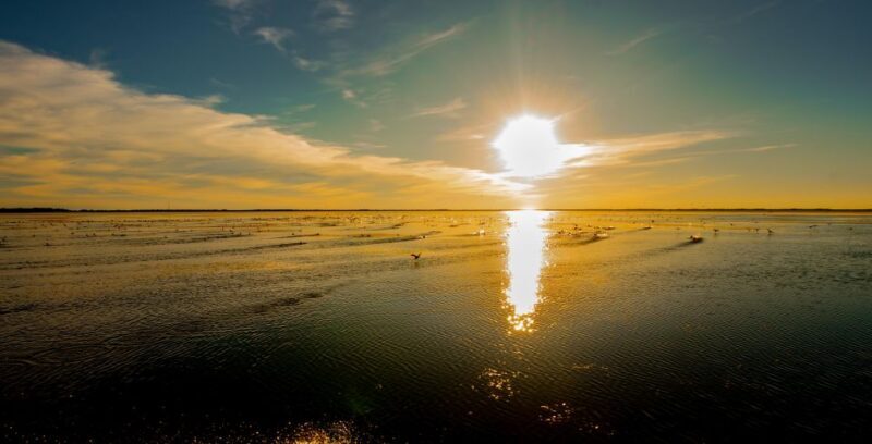 Kissimmee: Boggy Creek Sunset Airboat Tour - Who Would Enjoy This Tour?