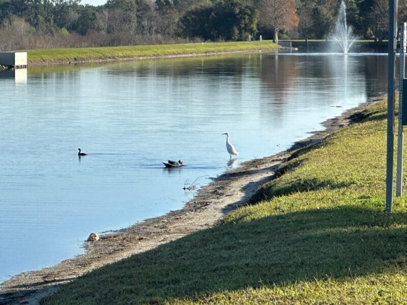 Kissimmee: Self-Guided Lakefront Tour on All Electric Bike - Is It Worth It?