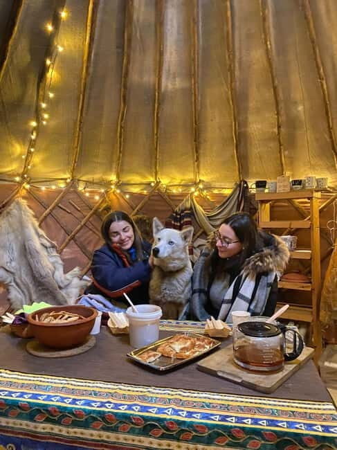 Kittilä / Levi: Husky Farm Guided Tour - The Value of This Experience