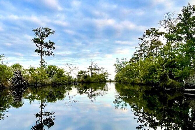 Kitty Hawk Maritime Forrest and Marsh Tour - Final Thoughts