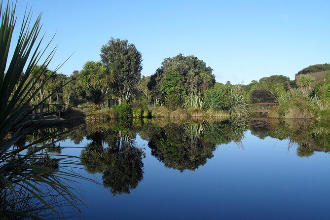 Kiwi Night Encounter at Nga Manu Nature Reserve - Key Points