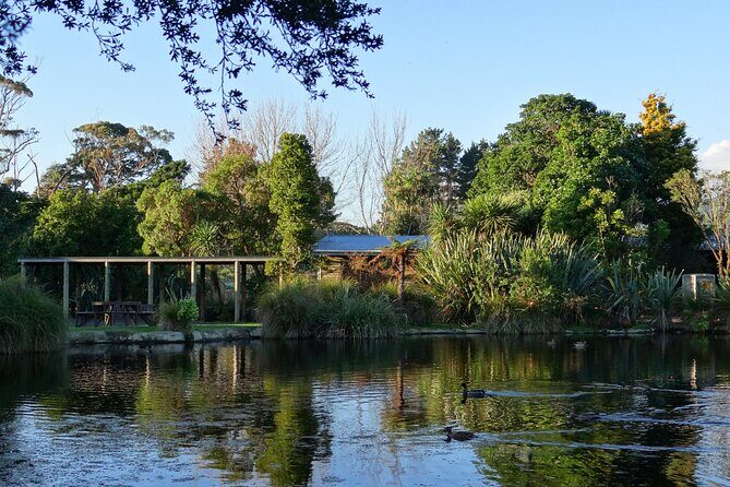 Kiwi Night Encounter at Nga Manu Nature Reserve - FAQ