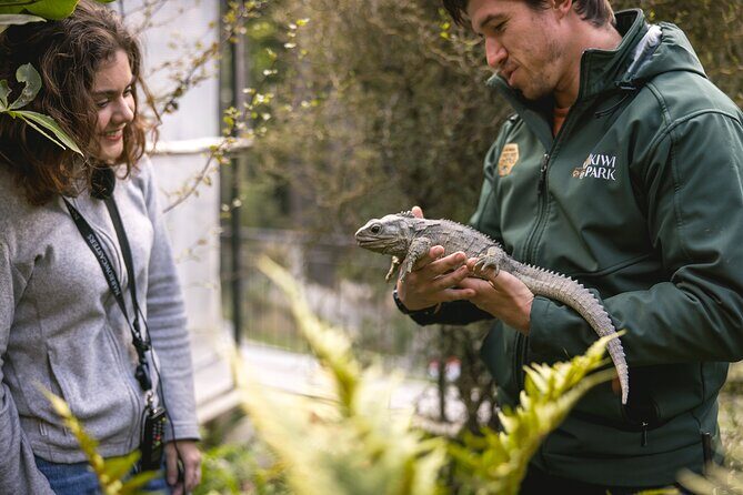 Kiwi Park Queenstown Admission - Who Will Enjoy This Experience?