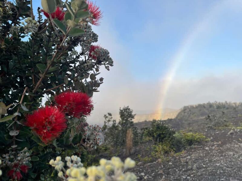 Klauea hike and lava gazing with Native Hawaiian - Why This Tour Is a Great Choice