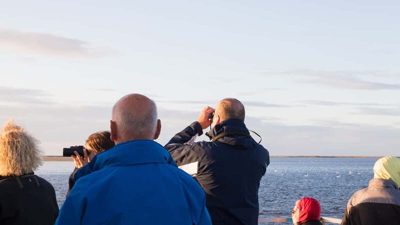 Kleine Kranichtour mit MS Swantevit ab Zingst - FAQ