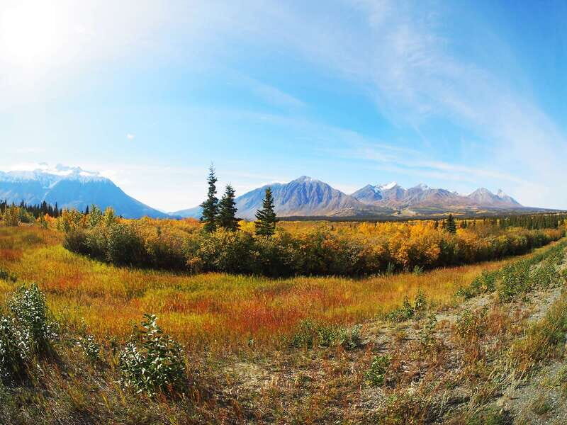 Kluane National Park: Full Day Tour - Key Points