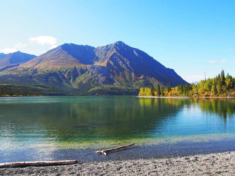 Kluane National Park: Full Day Tour - Price & Value