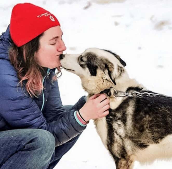 Knik: Winter Dog Sledding Tour - Key Points