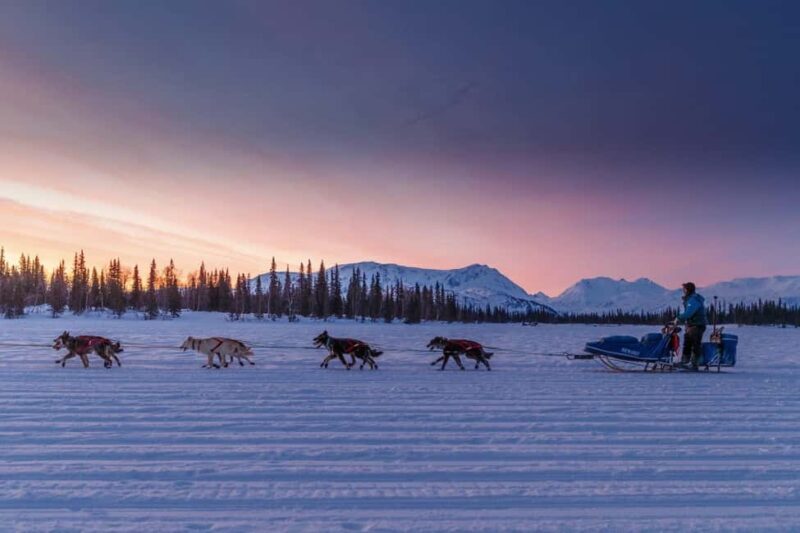 Knik: Winter Dog Sledding Tour - Practical Details