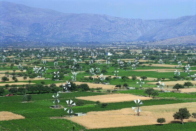 Knossos & lasithi plateau villages,Zeus's land,&olive oil factory - An In-Depth Look at the Tour Experience