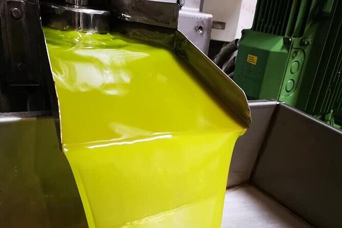 Knossos, Olive Grove, Winery - Distillery with Tastings & Lunch - The Itinerary in Detail