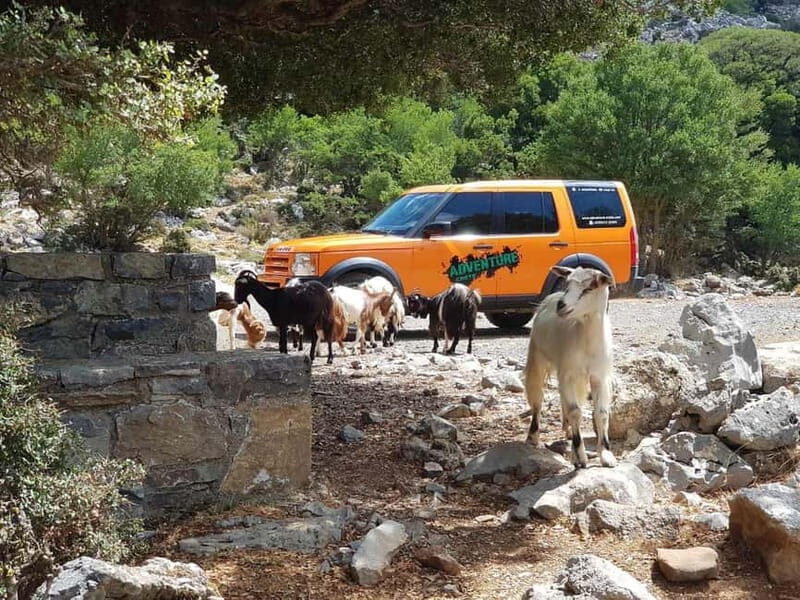 Knossos Palace and Pottery experience. Excursion Safari - Who Would Love This Tour?