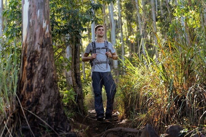 Knuckles and Wasgamuwa trail from Colombo - Key Points