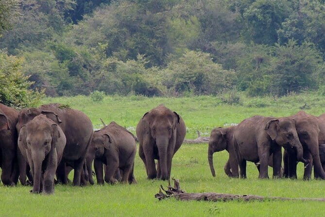 Knuckles and Wasgamuwa trail from Colombo - Final Thoughts
