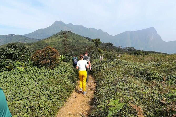 Knuckles and Wasgamuwa Trails from Kandy - FAQ
