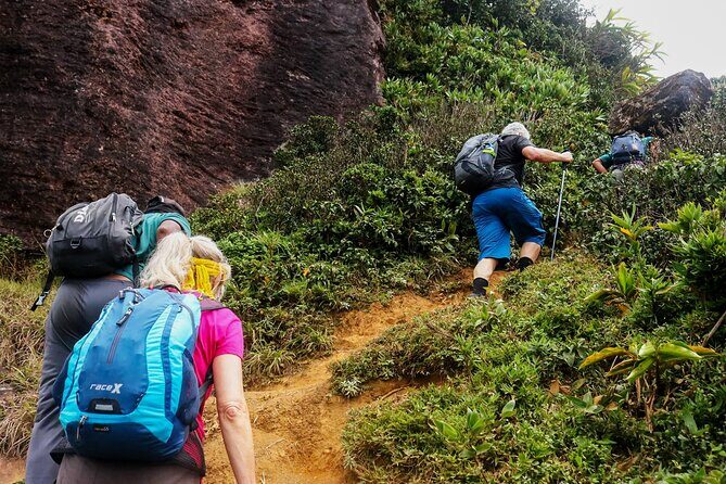 Knuckles Mountain Range Hike from Kandy - Key Points