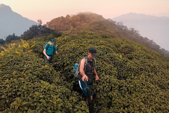 Knuckles Mountain Range Hiking and Trekking Day Tour From Kandy Hotels - Overview of the Tour Experience