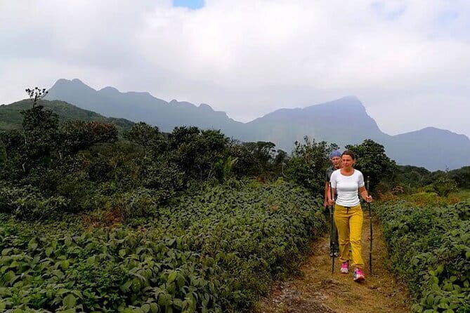 Knuckles Mountain Range Hiking and Trekking Day Tour From Kandy Hotels - Transport and Logistics
