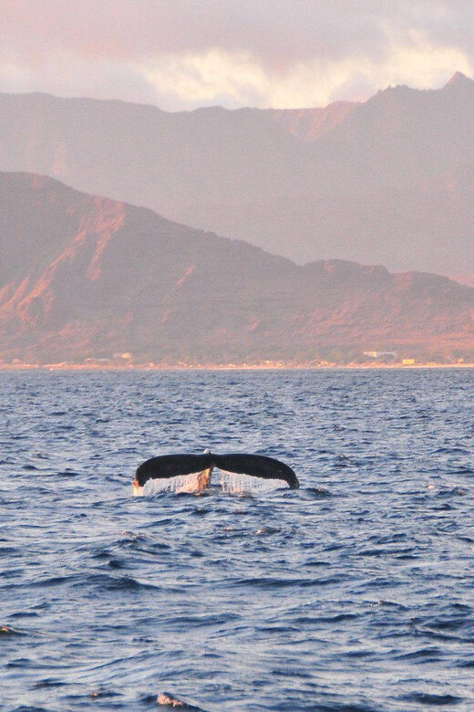 Ko Olina Captain's Sunset + Tasting - Why This Tour Offers Great Value