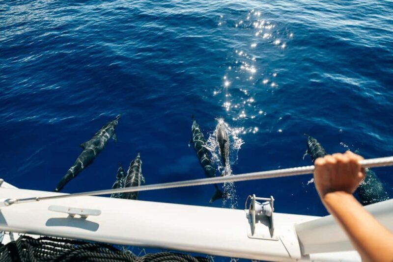 Ko Olina Exclusive Snorkel + Lunch - Key Points