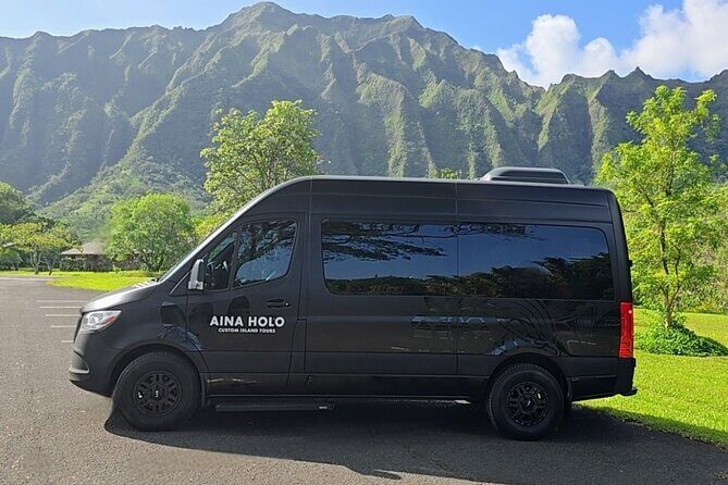 Ko Olina Kapolei Private Airport Transfer Up to 10 Guests - Who It’s Best For