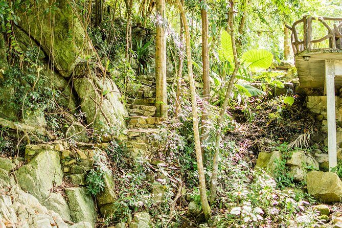 Ko Samui Full-Day Cultural Tour with Hotel Pickup and Drop Off - Authenticity and Traveler Insights