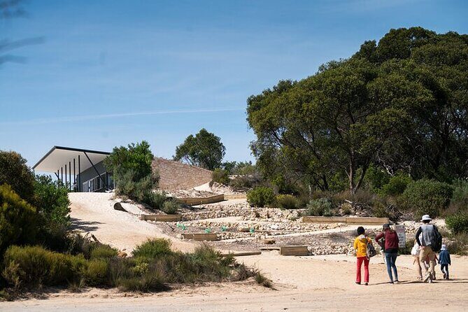 Koala Walking Tour in Kangaroo Island - Overview: An Authentic Wildlife Encounter