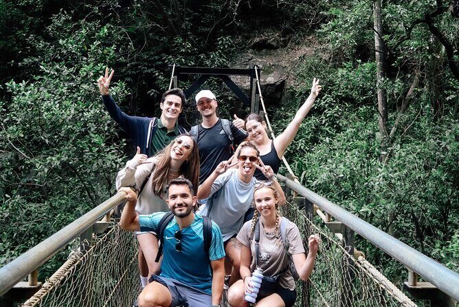 Koalas, 6 Springbrook Waterfalls and Natural Bridge Day Tour - What This Tour Means for Travelers