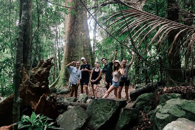 Koalas, 6 Springbrook Waterfalls and Natural Bridge Day Tour - FAQs