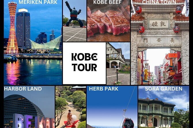 Kobe Highlight Private Tour - Key Points