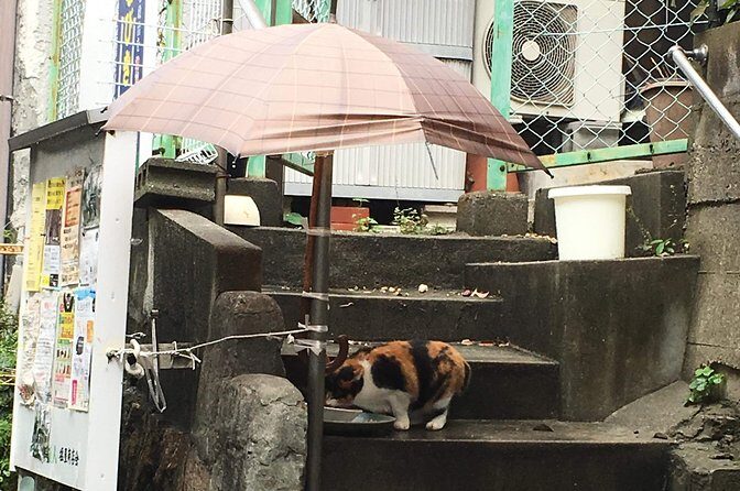 KOBE, SHIOYA, a quaint fishing town walking tour - Who Might Find This Tour Less Suitable?
